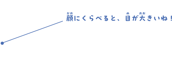 顔にくらべると、目が大きいね！