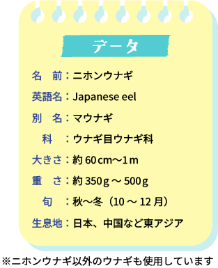 データ。名前：ニホンウナギ。英語名：Japanese eel。別名：マウナギ。科：ウナギ目ウナギ科。大きさ：約60cm～1m。重さ：約350g～500g。旬：秋～冬（10～12月）。生息地：日本、中国など東アジア。