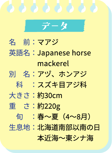 データ。名前：マアジ。英語名：Japanese horse mackeral。別名：アジ、ホンアジ。科：スズキ目アジ科。大きさ：約30cm。重さ：約220g。旬：春（4～8月）。生息地：北海道南部以南の日本近海～東シナ海。