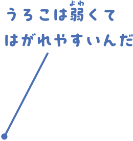 うろこは弱くてはがれやすいんだ