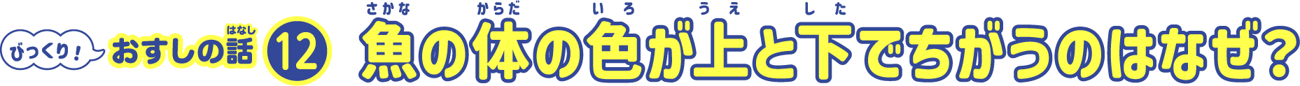 魚の体の色が上と下でちがうのはなぜ？